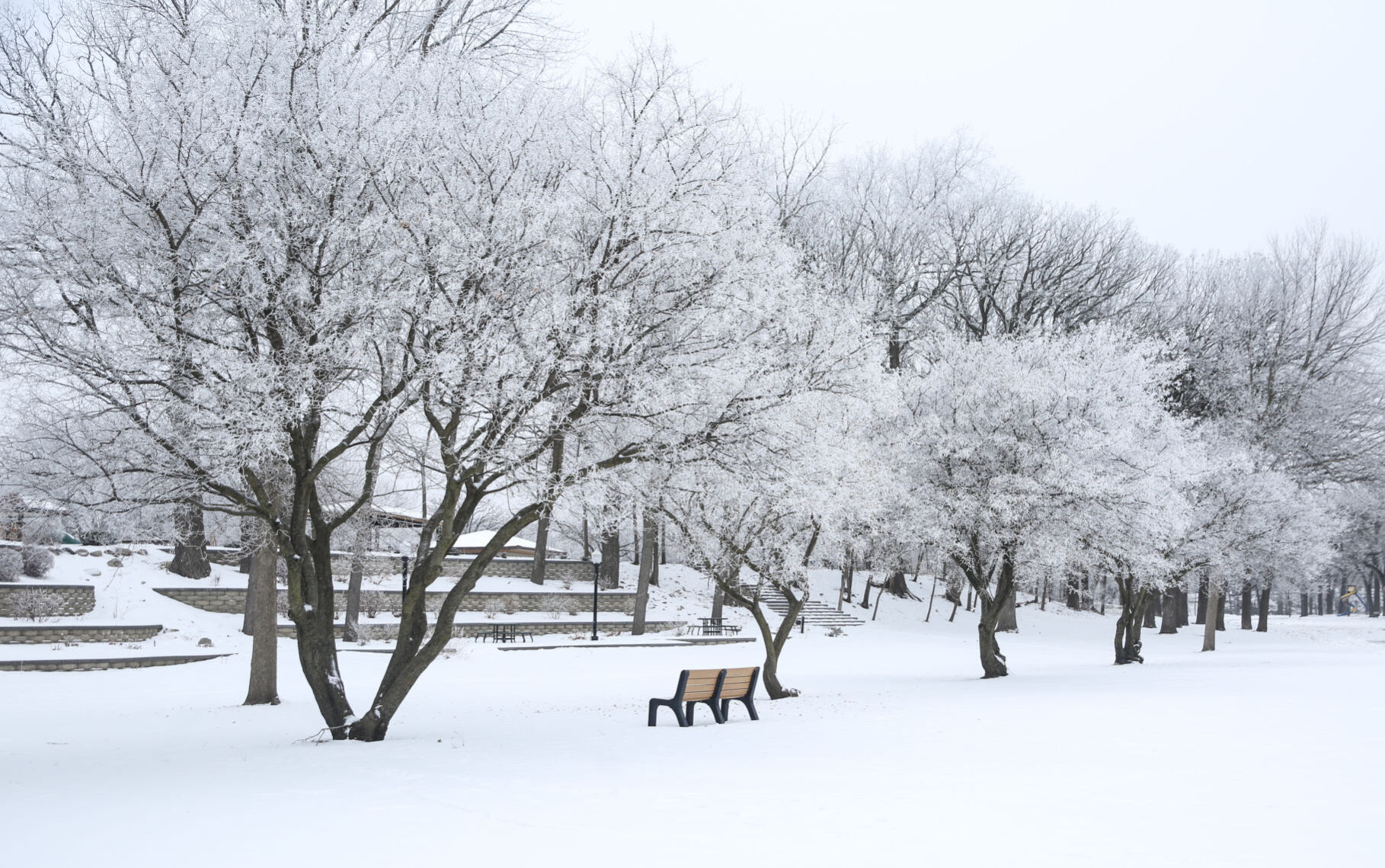 Winter Landscape - East Park